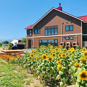 Shooting Star The Furano